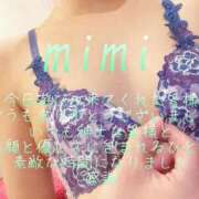 ヒメ日記 2026/07/19 23:01 投稿 みみ 男爵