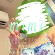ヒメ日記 2026/07/27 23:02 投稿 みみ 男爵