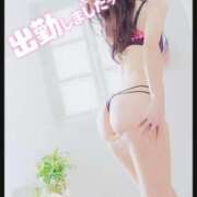 ヒメ日記 2025/12/08 12:26 投稿 こと 人妻の雫 倉敷店