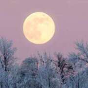 ヒメ日記 2024/12/15 10:29 投稿 矢沢 熟女待機所 厚木店