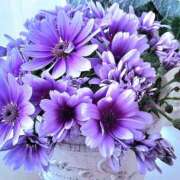 ヒメ日記 2024/12/19 10:57 投稿 矢沢 熟女待機所 厚木店