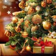 ヒメ日記 2024/12/24 11:38 投稿 矢沢 熟女待機所 厚木店