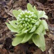 ヒメ日記 2025/02/05 11:18 投稿 矢沢 熟女待機所 厚木店