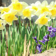 ヒメ日記 2025/02/23 11:09 投稿 矢沢 熟女待機所 厚木店