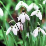 ヒメ日記 2025/02/24 12:02 投稿 矢沢 熟女待機所 厚木店