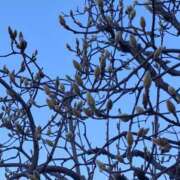 ヒメ日記 2025/02/27 11:41 投稿 矢沢 熟女待機所 厚木店