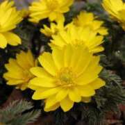 ヒメ日記 2025/03/02 10:10 投稿 矢沢 熟女待機所 厚木店