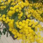 ヒメ日記 2025/03/08 11:01 投稿 矢沢 熟女待機所 厚木店