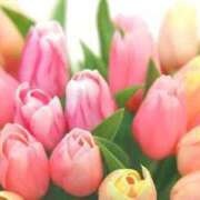 ヒメ日記 2025/04/01 19:06 投稿 矢沢 熟女待機所 厚木店