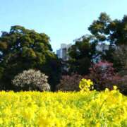 ヒメ日記 2025/04/04 10:23 投稿 矢沢 熟女待機所 厚木店