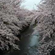 ヒメ日記 2025/04/05 10:56 投稿 矢沢 熟女待機所 厚木店