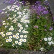 ヒメ日記 2025/04/09 10:38 投稿 矢沢 熟女待機所 厚木店