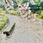 ヒメ日記 2025/04/10 12:51 投稿 矢沢 熟女待機所 厚木店