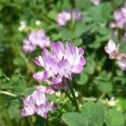 ヒメ日記 2025/04/14 11:25 投稿 矢沢 熟女待機所 厚木店