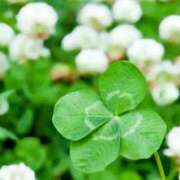 ヒメ日記 2025/04/26 09:36 投稿 矢沢 熟女待機所 厚木店