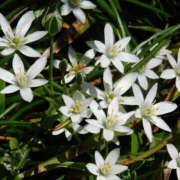 ヒメ日記 2025/04/29 11:30 投稿 矢沢 熟女待機所 厚木店