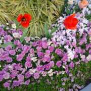 ヒメ日記 2025/04/30 11:21 投稿 矢沢 熟女待機所 厚木店