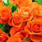 ヒメ日記 2025/05/01 17:39 投稿 矢沢 熟女待機所 厚木店