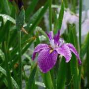 ヒメ日記 2025/05/06 10:19 投稿 矢沢 熟女待機所 厚木店