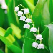 ヒメ日記 2025/05/10 10:32 投稿 矢沢 熟女待機所 厚木店