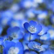 ヒメ日記 2025/05/15 10:41 投稿 矢沢 熟女待機所 厚木店