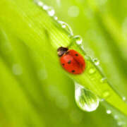 ヒメ日記 2025/05/17 10:39 投稿 矢沢 熟女待機所 厚木店