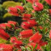 ヒメ日記 2025/05/29 11:51 投稿 矢沢 熟女待機所 厚木店