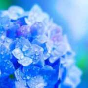 ヒメ日記 2025/06/10 10:55 投稿 矢沢 熟女待機所 厚木店