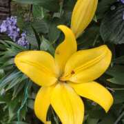 ヒメ日記 2025/06/16 11:24 投稿 矢沢 熟女待機所 厚木店