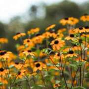 ヒメ日記 2025/07/09 11:02 投稿 矢沢 熟女待機所 厚木店