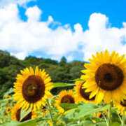 ヒメ日記 2025/08/02 14:58 投稿 矢沢 熟女待機所 厚木店