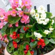 ヒメ日記 2025/08/28 10:52 投稿 矢沢 熟女待機所 厚木店