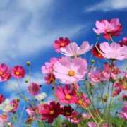 ヒメ日記 2025/09/02 13:24 投稿 矢沢 熟女待機所 厚木店