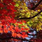 ヒメ日記 2025/10/01 16:26 投稿 矢沢 熟女待機所 厚木店