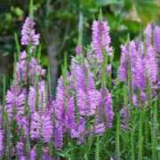 ヒメ日記 2025/10/13 11:06 投稿 矢沢 熟女待機所 厚木店