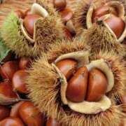 ヒメ日記 2025/10/15 12:26 投稿 矢沢 熟女待機所 厚木店