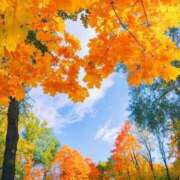 ヒメ日記 2025/11/02 09:06 投稿 矢沢 熟女待機所 厚木店