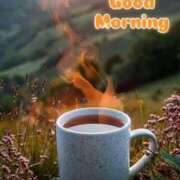 ヒメ日記 2025/11/13 09:45 投稿 矢沢 熟女待機所 厚木店