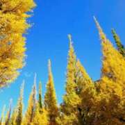 ヒメ日記 2025/11/27 10:25 投稿 矢沢 熟女待機所 厚木店