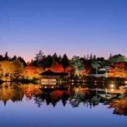 矢沢 出勤します 熟女待機所 厚木店