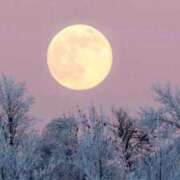 矢沢 出勤します 熟女待機所 厚木店