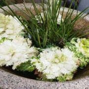 ヒメ日記 2025/12/11 10:05 投稿 矢沢 熟女待機所 厚木店