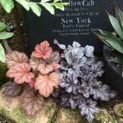 ヒメ日記 2025/12/16 10:45 投稿 矢沢 熟女待機所 厚木店