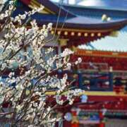 ヒメ日記 2026/02/01 17:45 投稿 矢沢 熟女待機所 厚木店