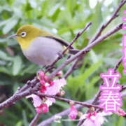 矢沢 2月初出勤 熟女待機所 厚木店