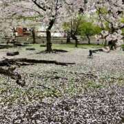 矢沢 出勤します 熟女待機所 厚木店