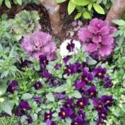 矢沢 早くも夏日？ 熟女待機所 厚木店