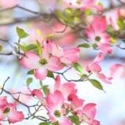 矢沢 出勤します 熟女待機所 厚木店