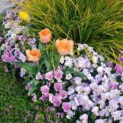 ヒメ日記 2026/04/22 10:45 投稿 矢沢 熟女待機所 厚木店