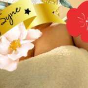 ヒメ日記 2026/04/04 11:44 投稿 ゆりえ 即アポ奥さん〜名古屋店〜